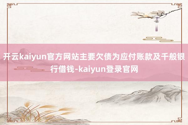 開云kaiyun官方網站主要欠債為應付賬款及千般銀行借錢-kaiyun登錄官網